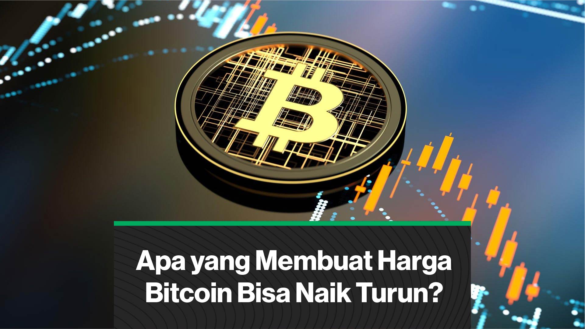 Apa Penyebab Harga Bitcoin Bisa Naik Turun? | CoinDesk Indonesia